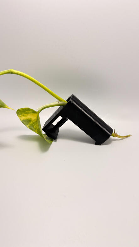 Pothos Holder - Mini Tube