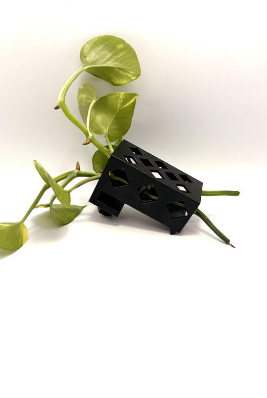 The Cage (Rimless Tank)