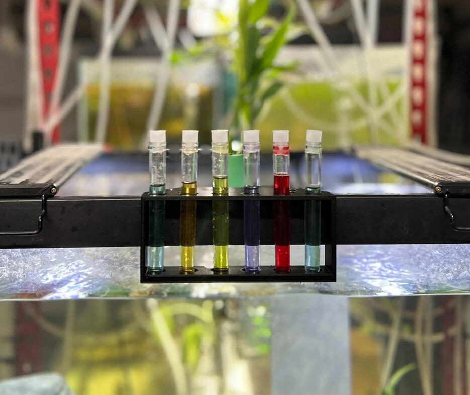 6 Test Tube Holder